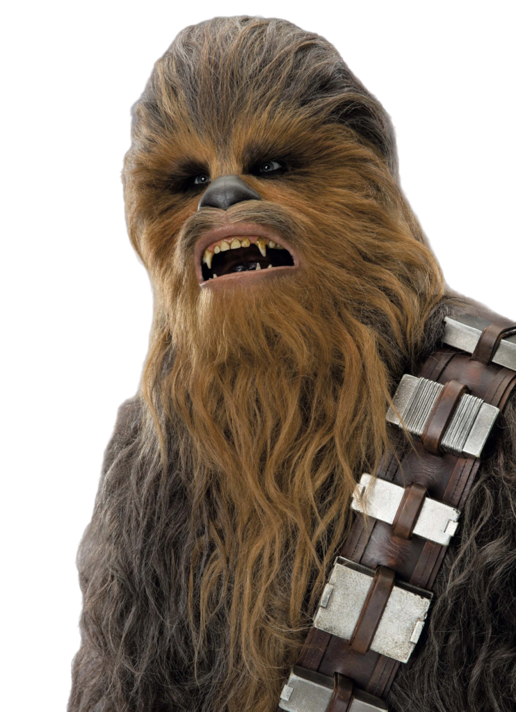 Chewy