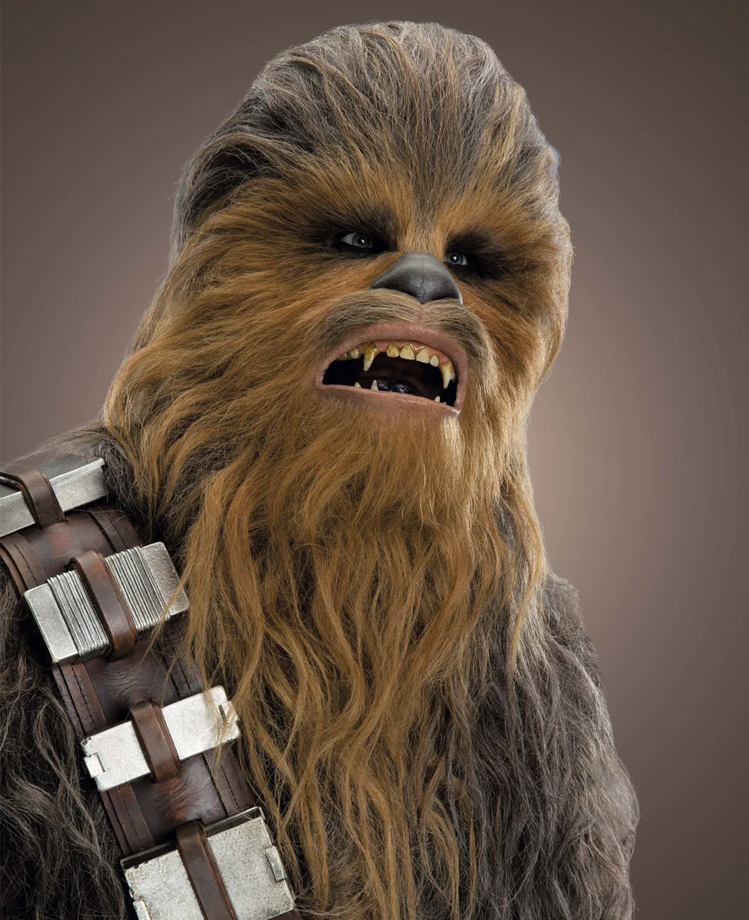Chewbacca is a very real touring comedian